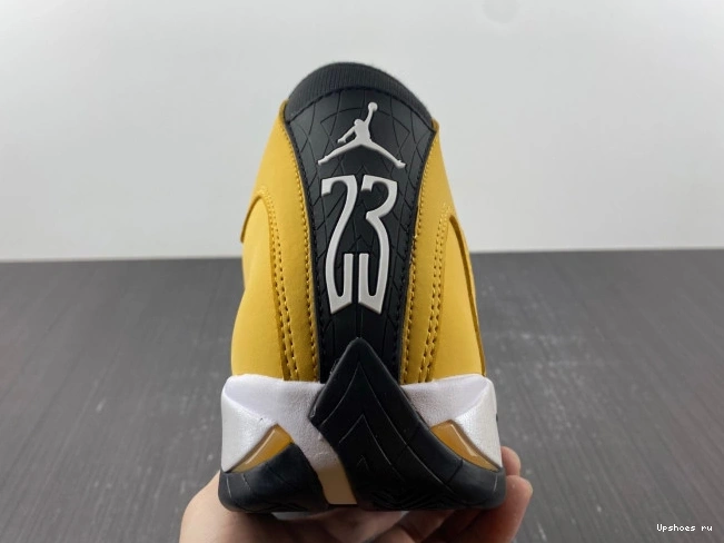 Light Retro 487471-701  Ginger Jordan 14 0930
